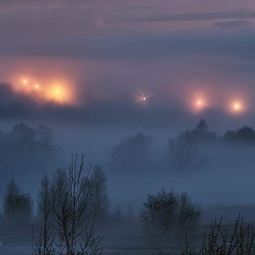 Photo #9333419