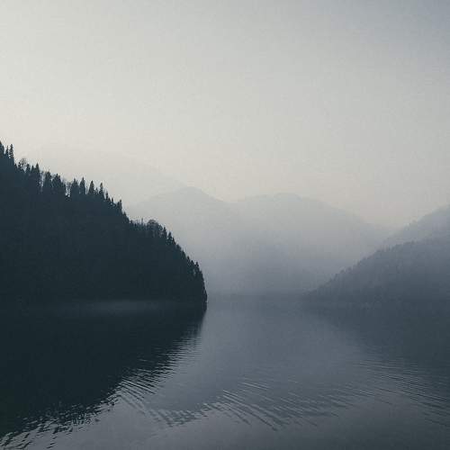 Photo #9333441