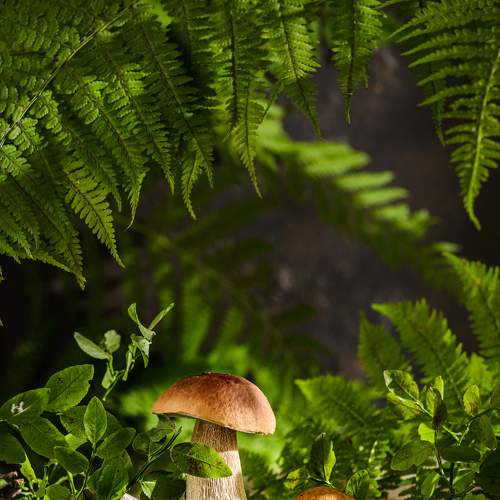 Photo #9333460