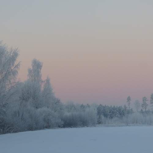 Photo #9333874