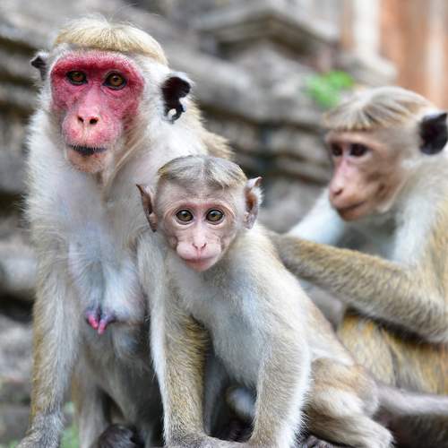 Photo #9334182