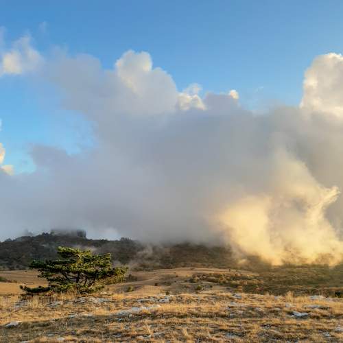 Photo #9334440