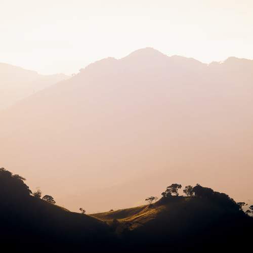 Photo #9334538
