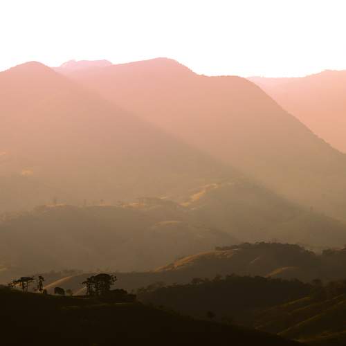Photo #9334563