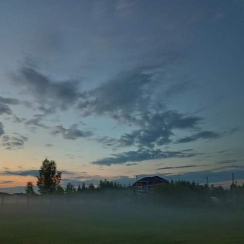 Photo #9334586