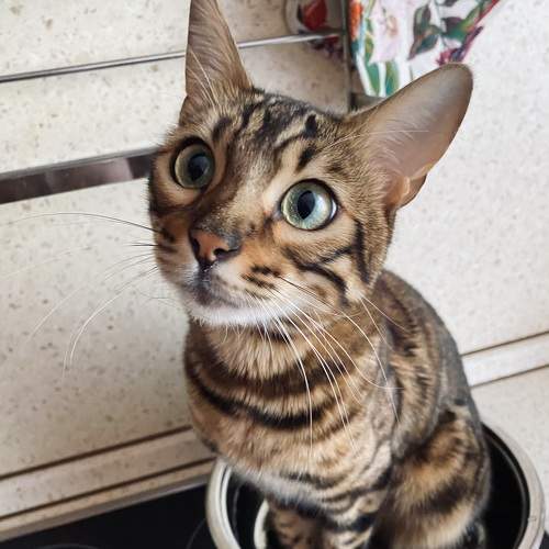 Photo #9334724