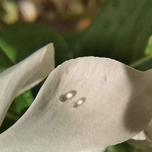 Photo #9334877