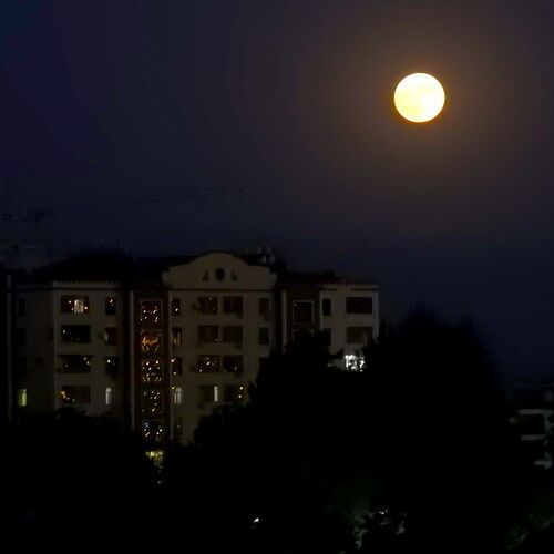 Photo #9334992