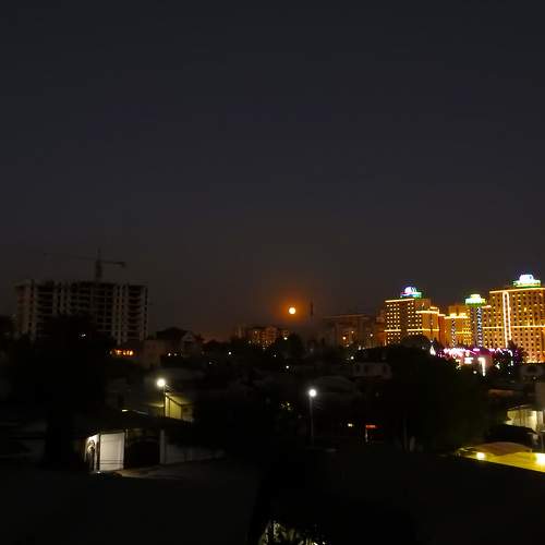 Photo #9334993
