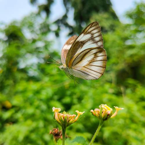 Photo #9335035