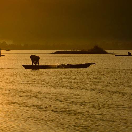 Photo #9335076