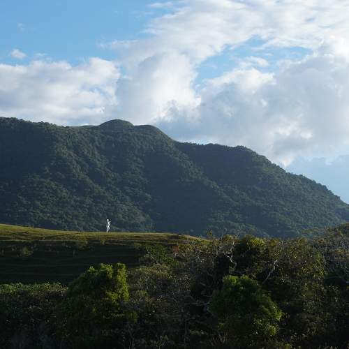 Photo #9335160