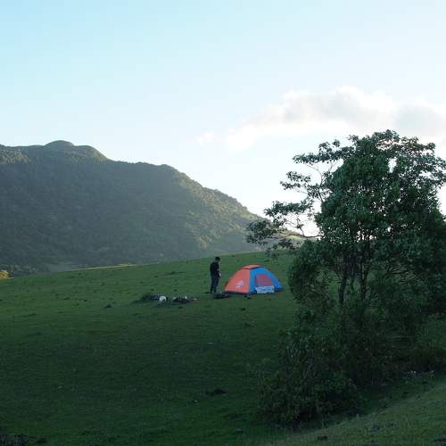 Photo #9335171