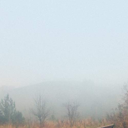 Photo #9335179