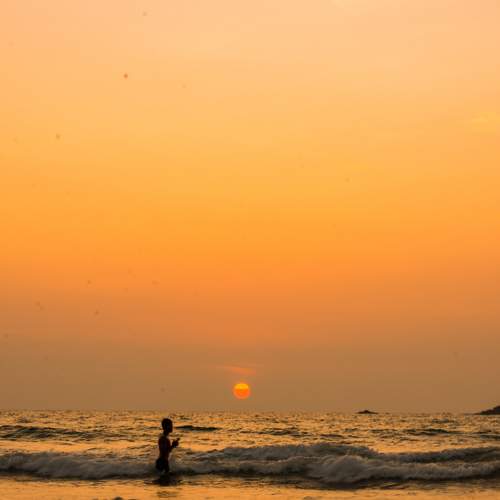 Photo #9335298