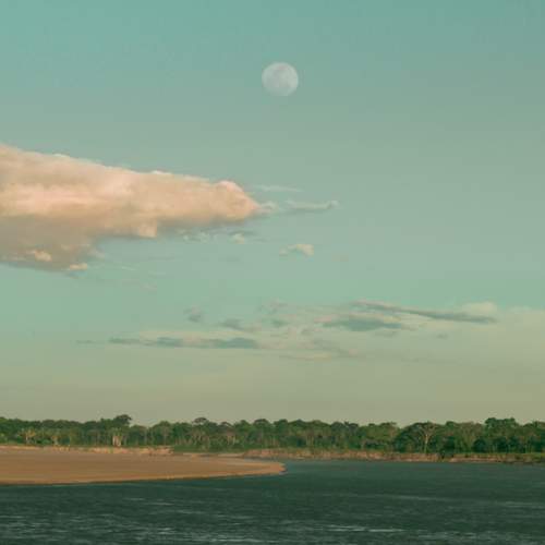 Photo #9335315