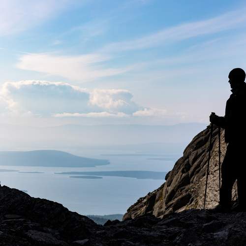 Photo #9335444