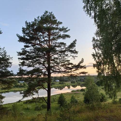 Photo #9336072