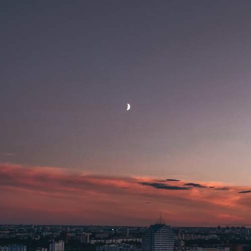Photo #9336165