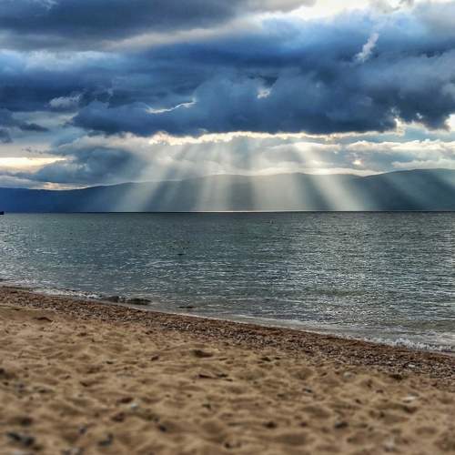 Photo #9336175