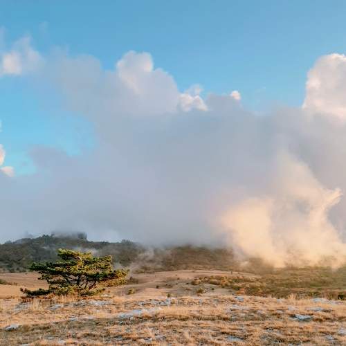 Photo #9336375