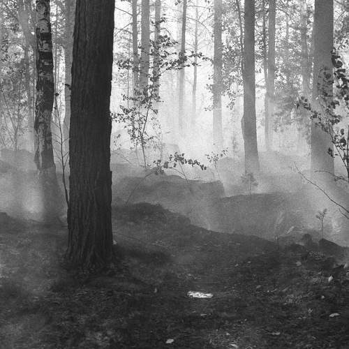 Photo #9336518