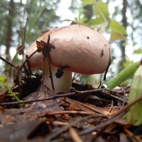Photo #9336557