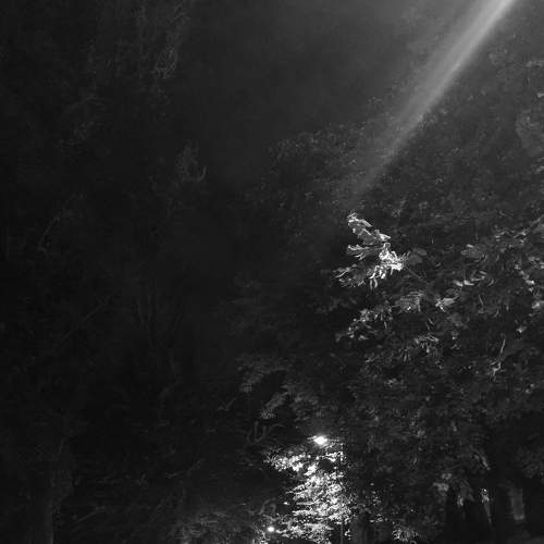 Photo #9336714