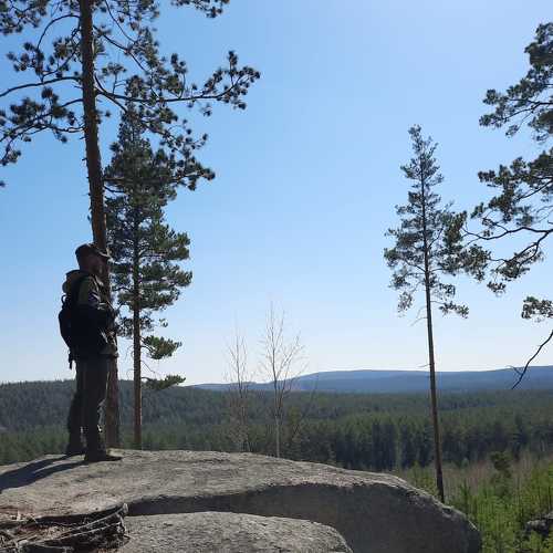 Photo #9336756