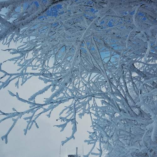 Photo #9336762