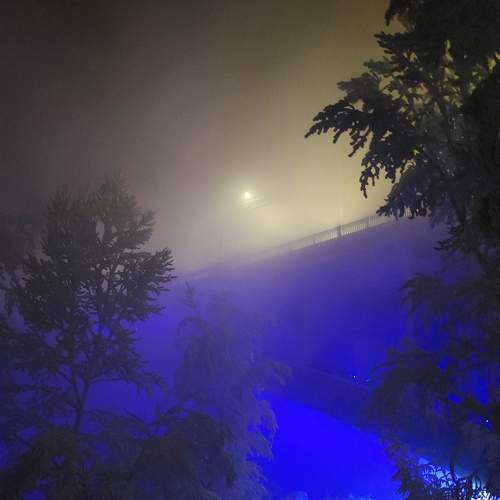 Photo #9336779