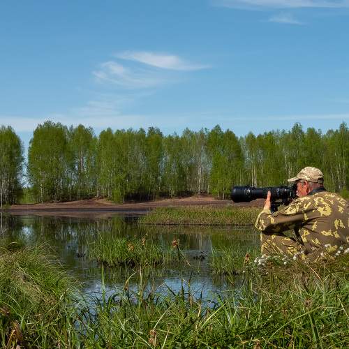 Photo #9336870