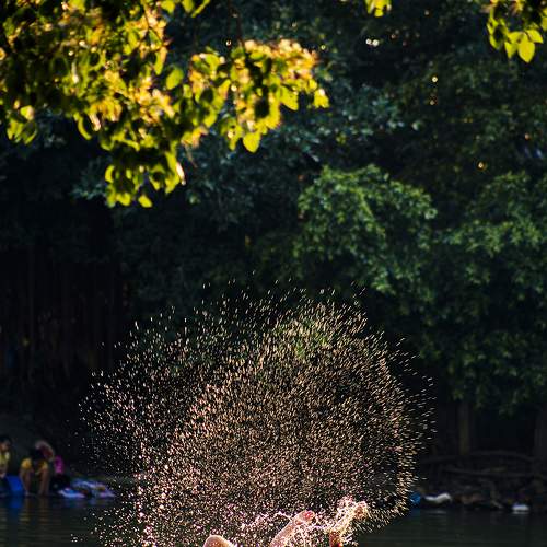 Photo #9336876