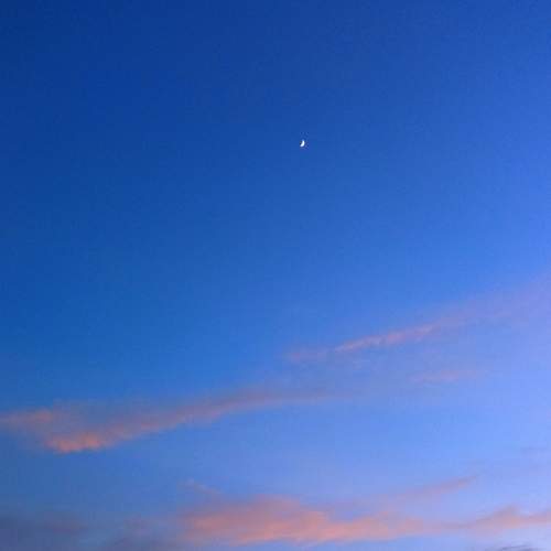 Photo #9337181