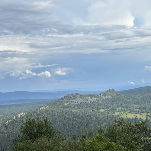 Photo #9337213