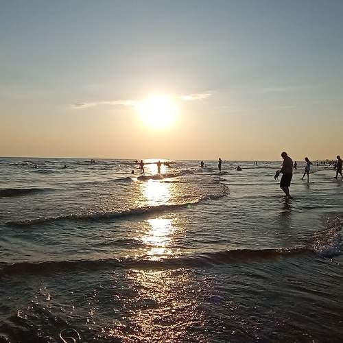 Photo #9337215