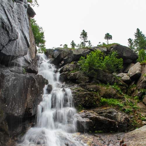 Photo #9337282
