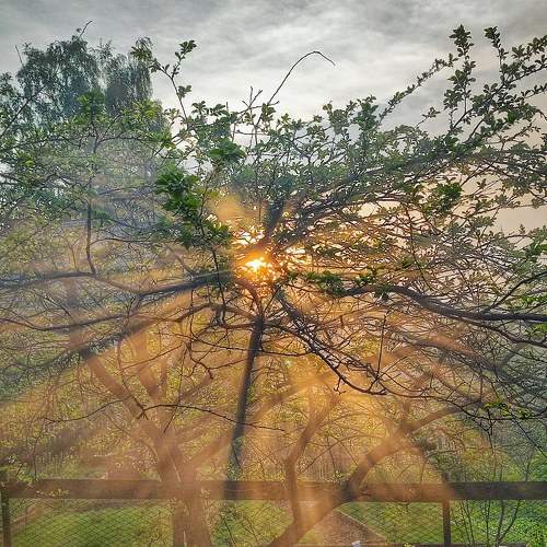 Photo #9337525