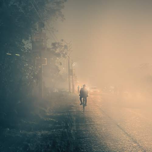Photo #9337694