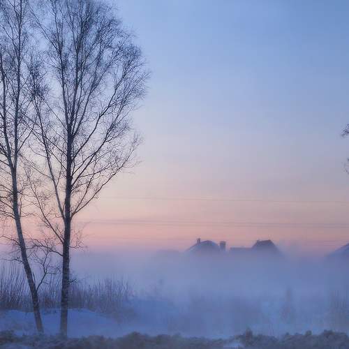 Photo #9338230