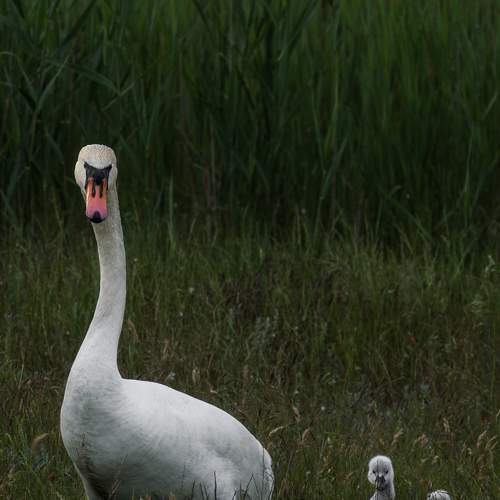 Photo #9338404