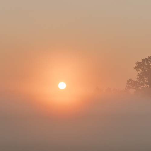 Photo #9338472