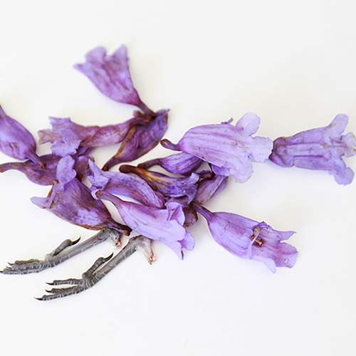 Photo #9338514