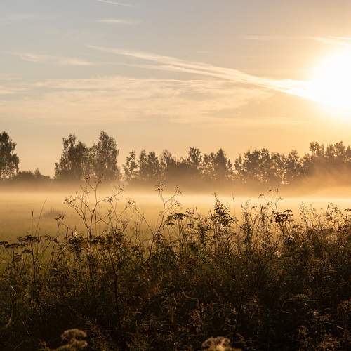 Photo #9338881