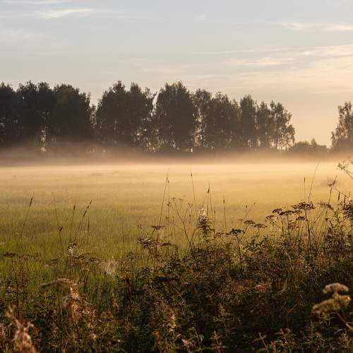 Photo #9338890