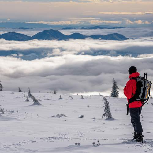 Photo #9338988