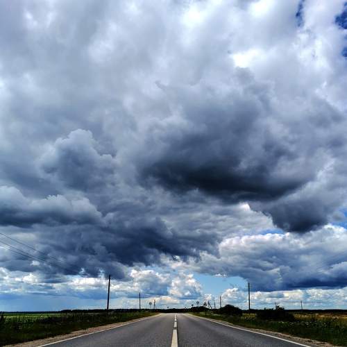 Photo #9339046