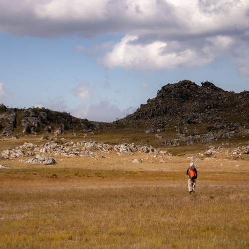 Photo #9339090