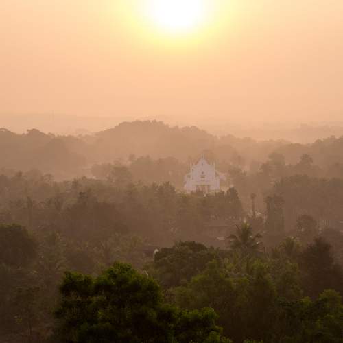 Photo #9339095