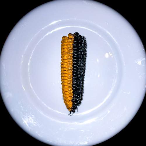 Photo #9339235